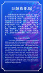 云南景颇族织锦