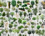 园林景观效果图植物ps素材
