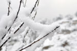 雪景