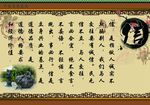 校园文化