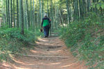 竹林小道
