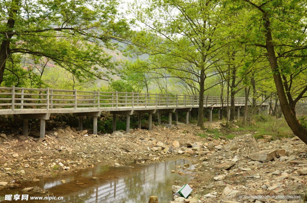 树林 小桥  流水