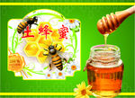 土蜂蜜海报