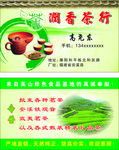 茶叶名片