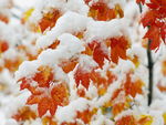 白雪背景图