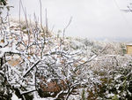 雪景