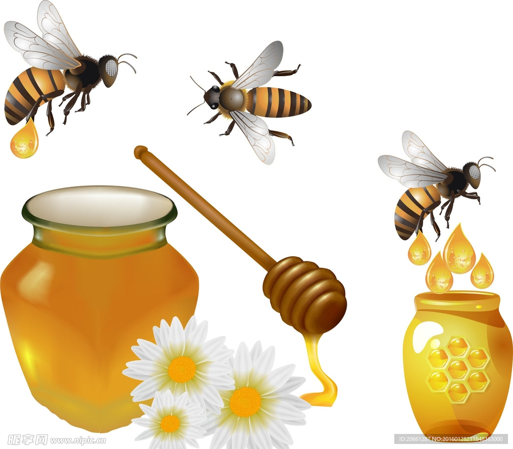 蜂蜜 蜜蜂