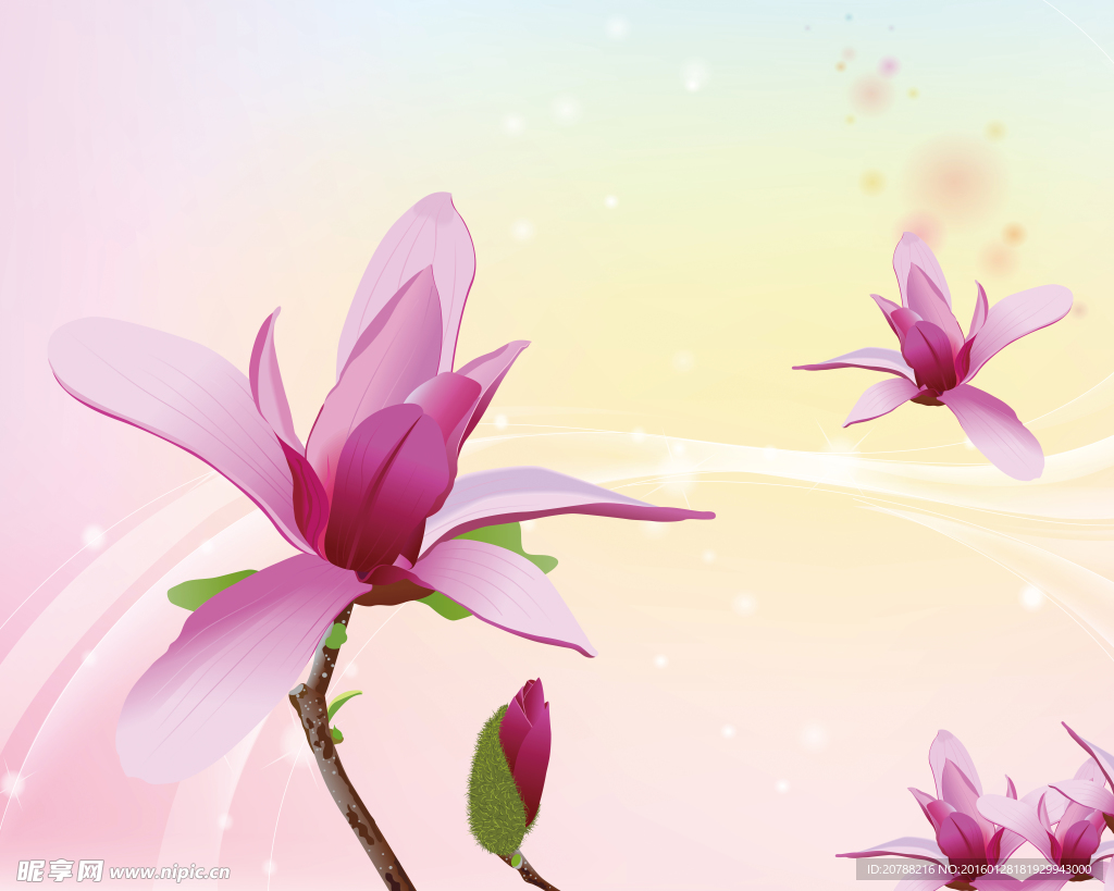 高清莲花电视沙发背景墙