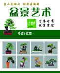 盆景名片