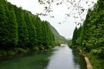 青山绿水