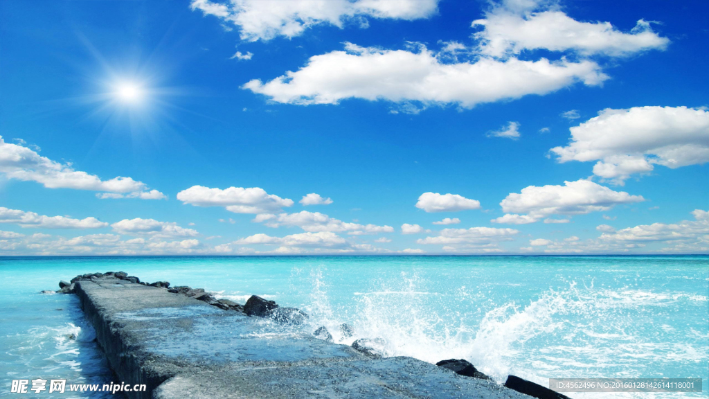 大海
