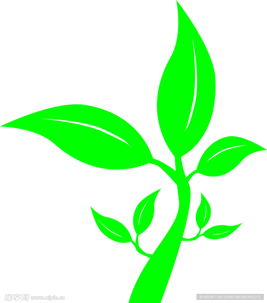 树枝树叶