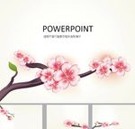 鲜花PPT