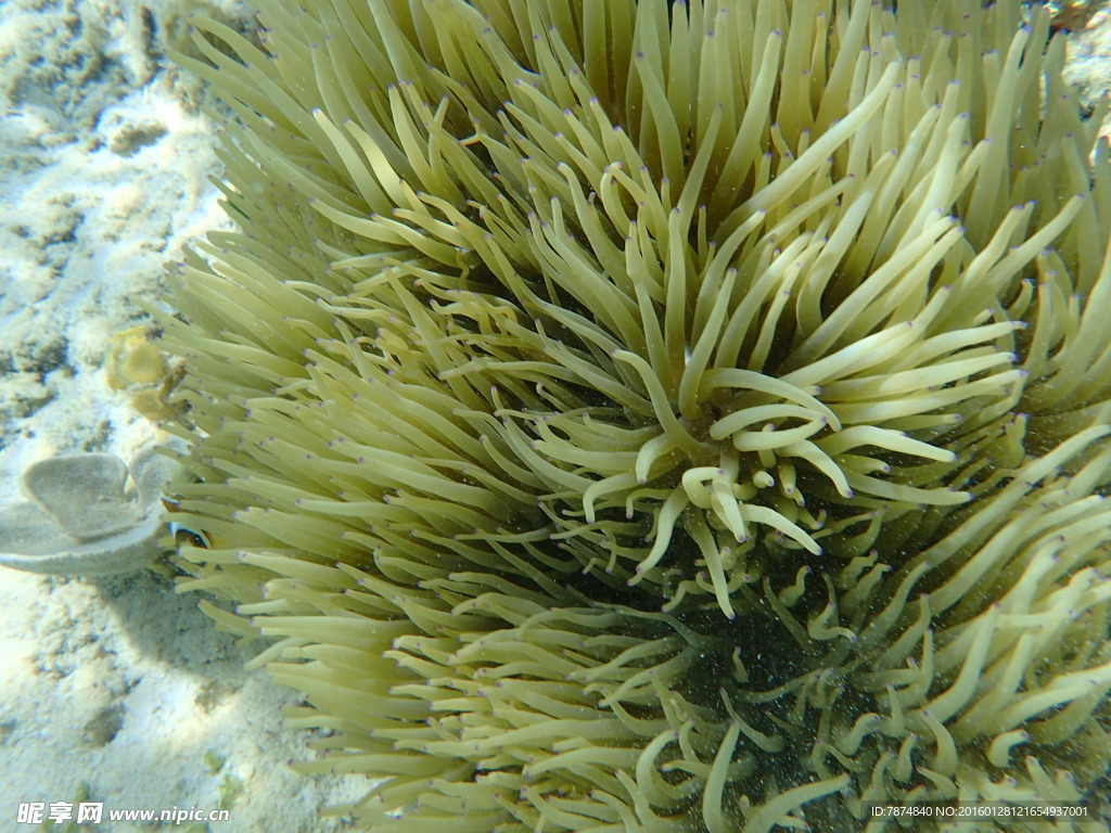 长滩岛海底世界