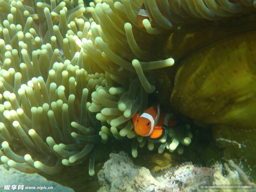 长滩岛海底世界