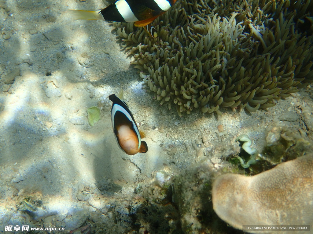 长滩岛海底世界