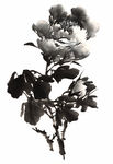 水墨画