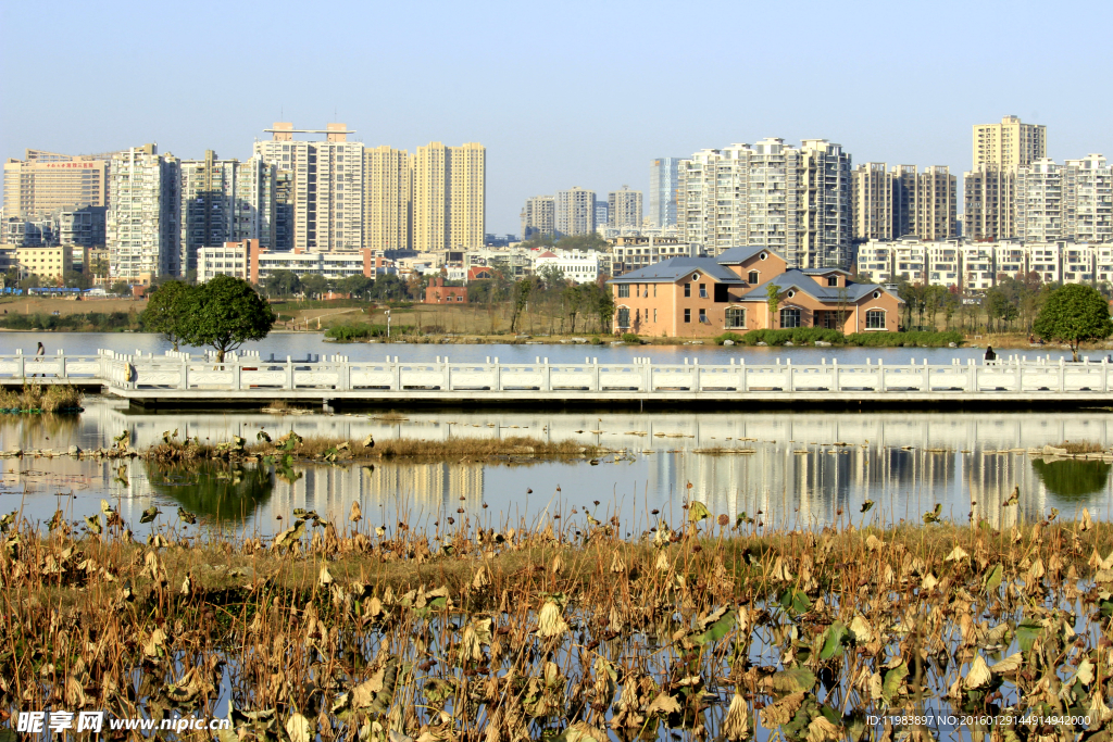 长沙西湖景观