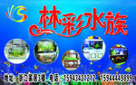水族