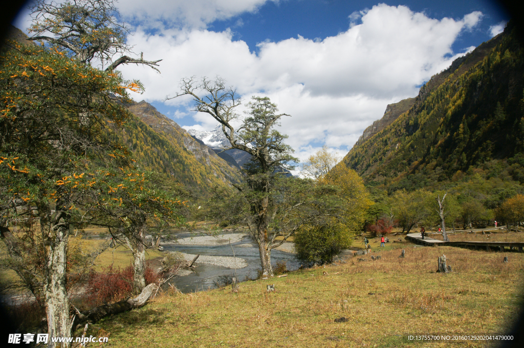 四川双桥沟的风景