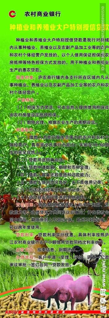 农村商业银行