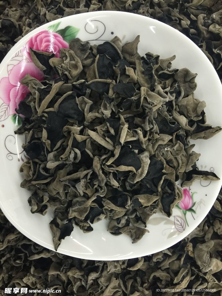 秋木耳