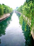 大明湖