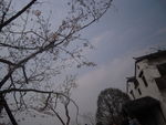 江南风景