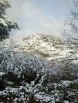 雪山