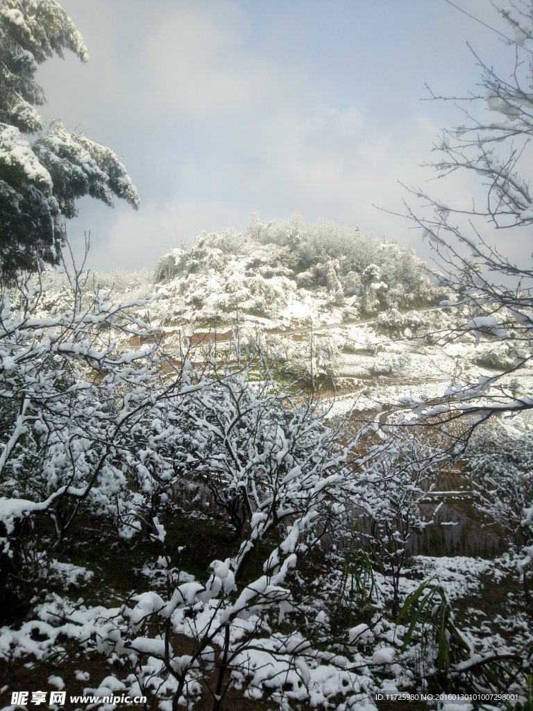 雪山