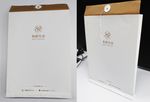 大气简约档案袋平面图