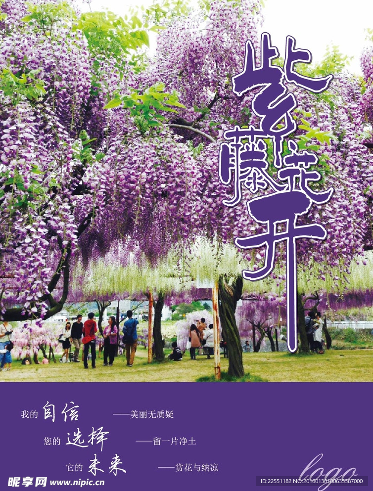 紫藤花封面