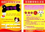 宠物生活馆宣传单