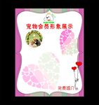 宠物照片贴图墙