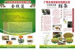 药房宣传单