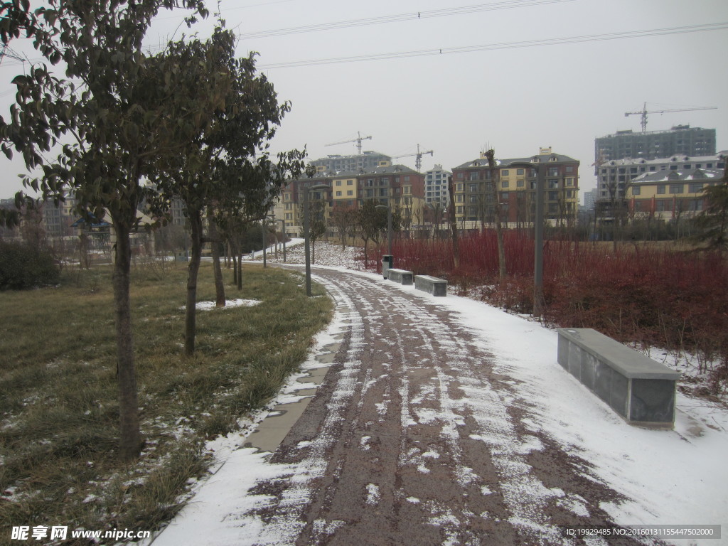 园路雪景