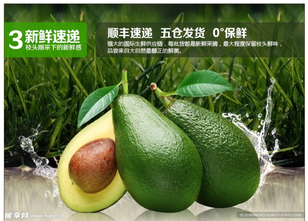 牛油果海报