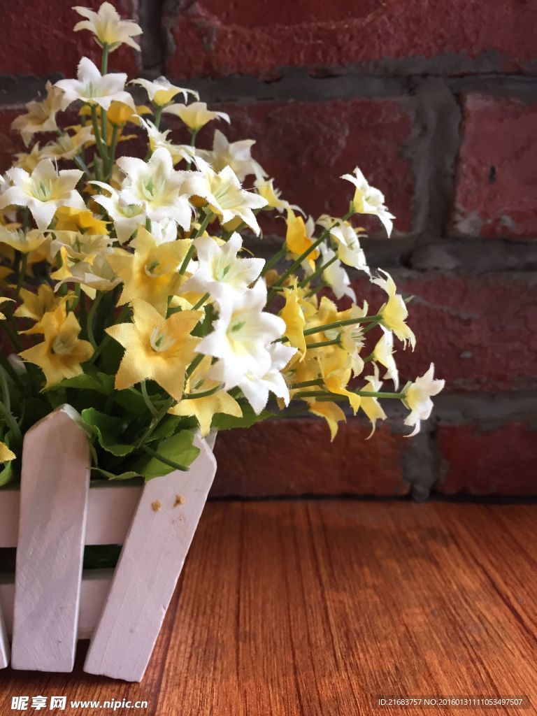 小黄花