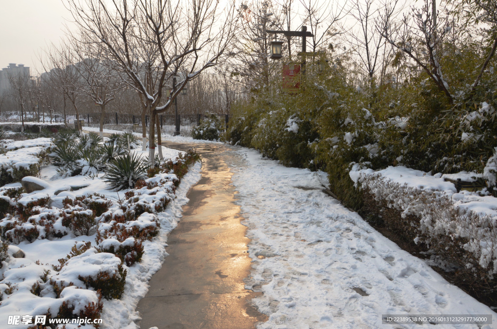 汉城湖雪景