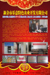 新年农副产品宣传单