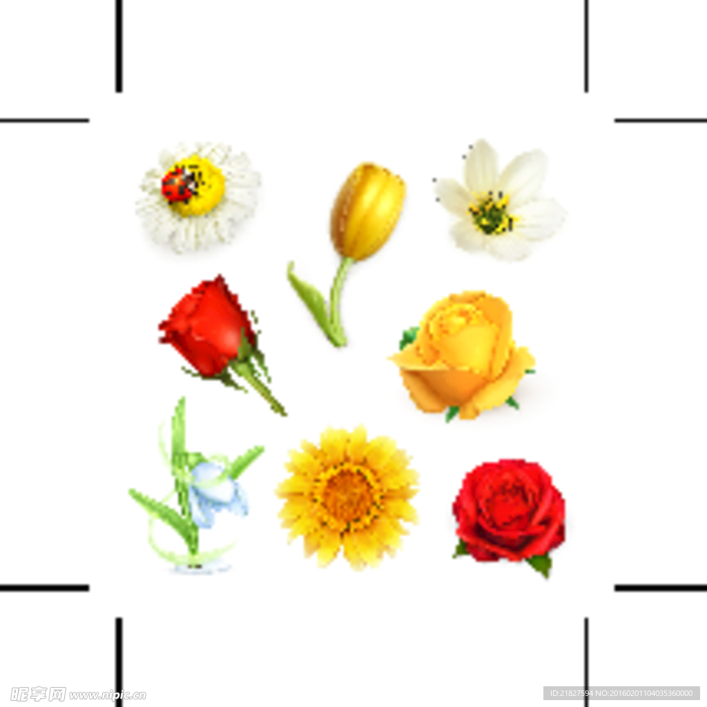 朵花