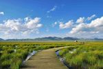 路边风景
