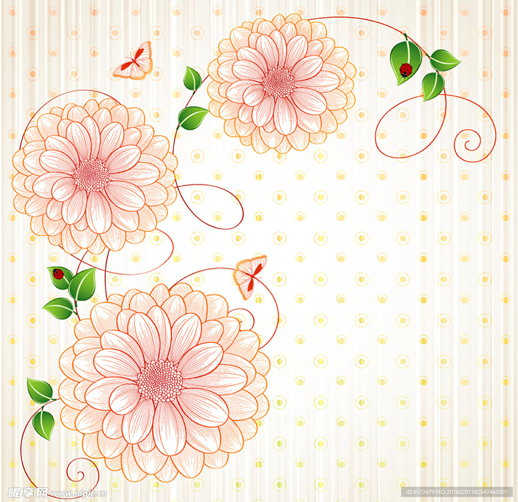线条野菊花