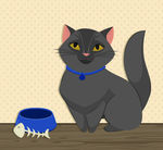 猫