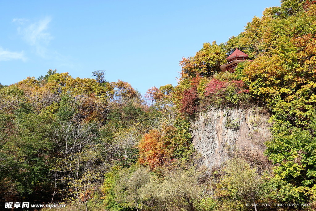 山林