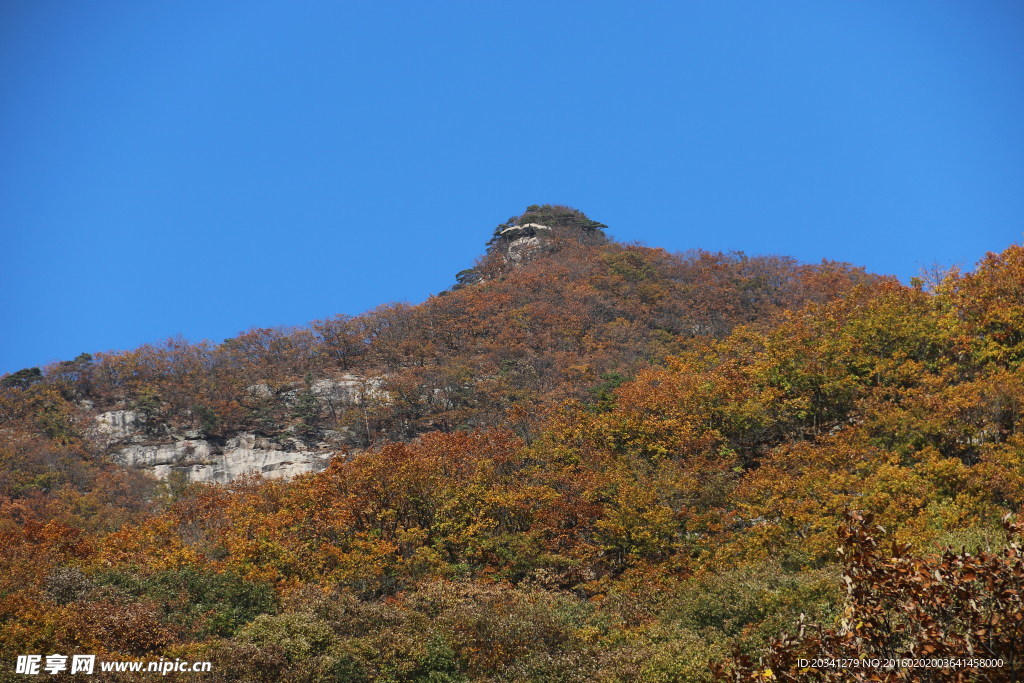 山峰