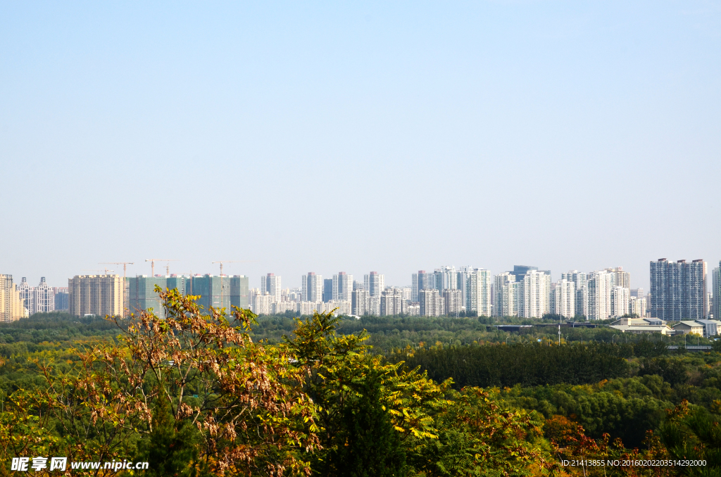 城市远眺