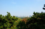 城市建筑群