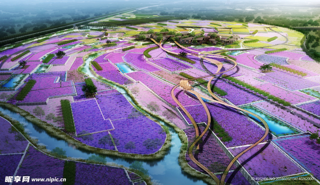 花海