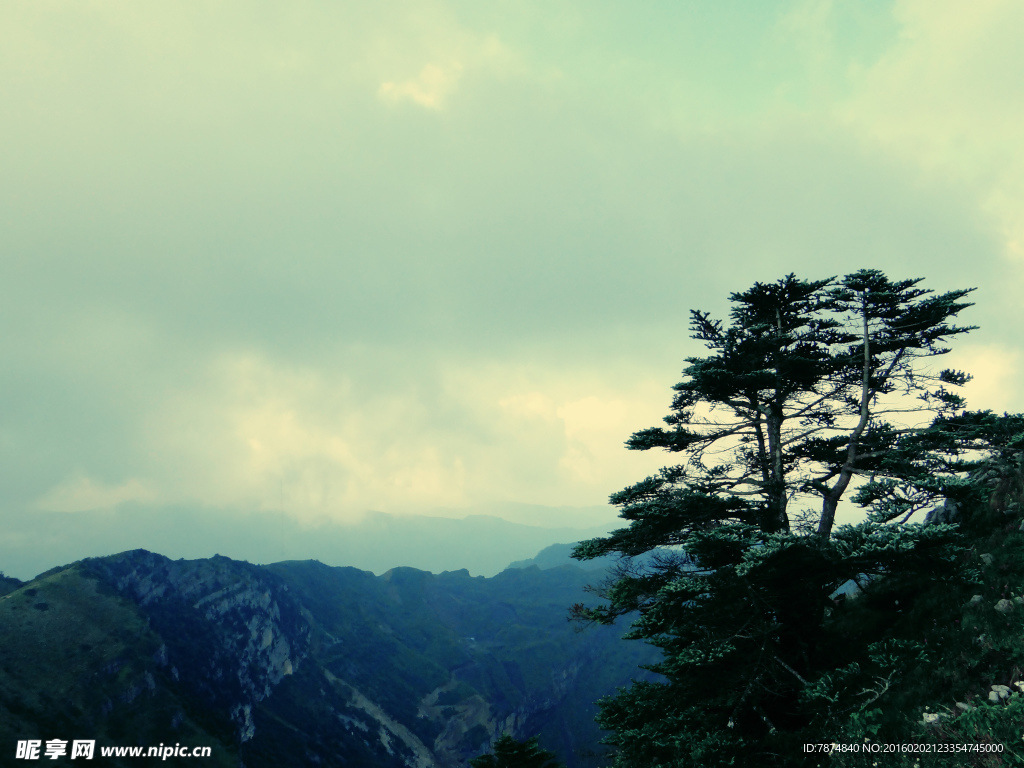 轿顶山风光